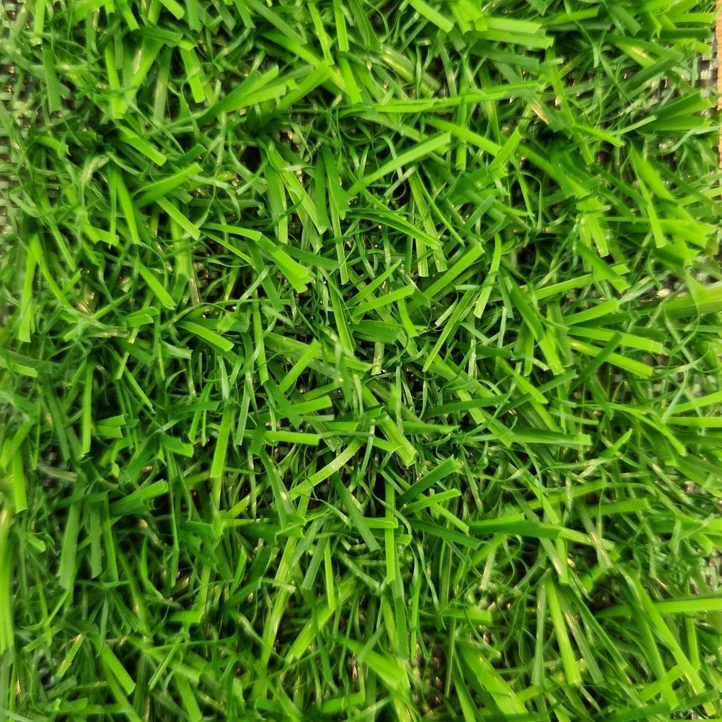 Pasto Sintético 15mm 2x5 Metros - Garden Market