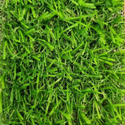 Pasto Sintético 15mm 2x5 Metros - Garden Market