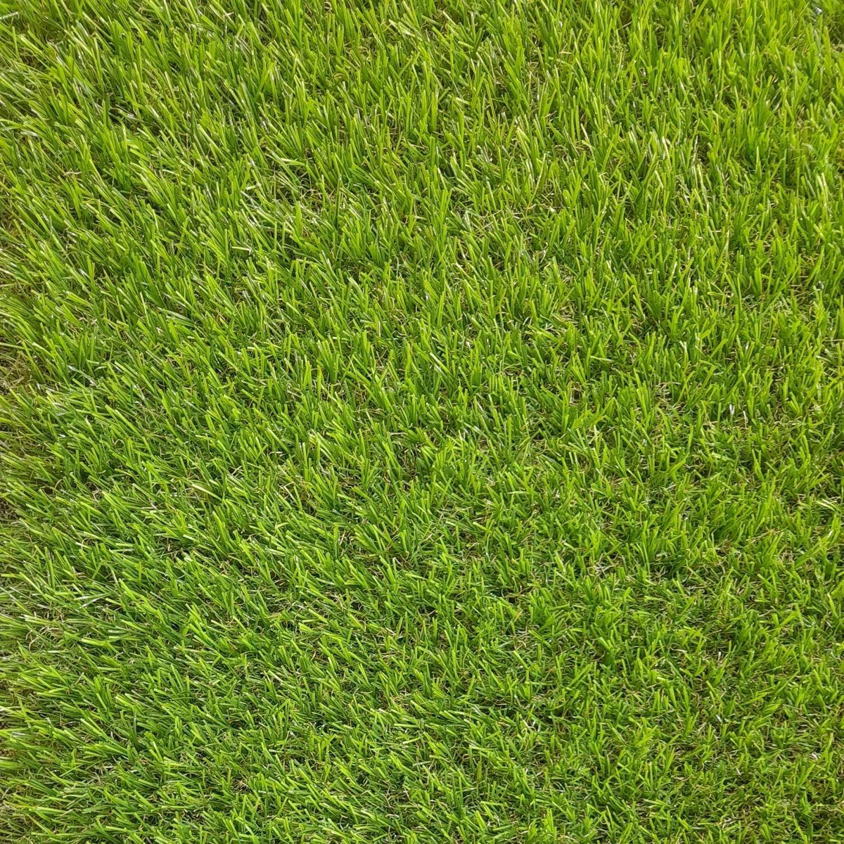 Pasto Sintético 40mm 2x5 Metros-Pasto Sintético-HBPETROHUE_10m-Pasto-Garden Market