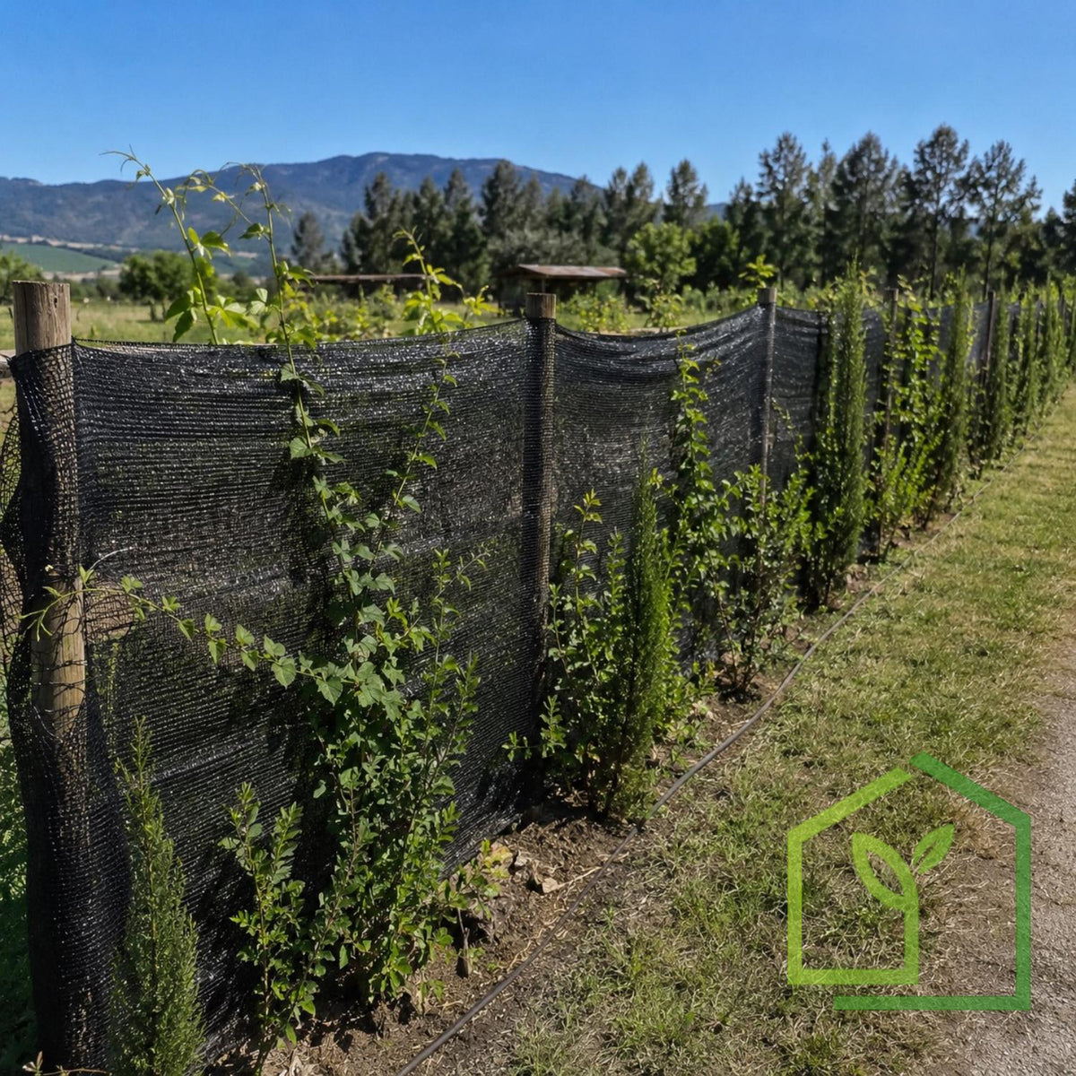 Raschel Negro 80% 2.1x5 Metros-Mallas Raschel-HBRS12-Garden Market